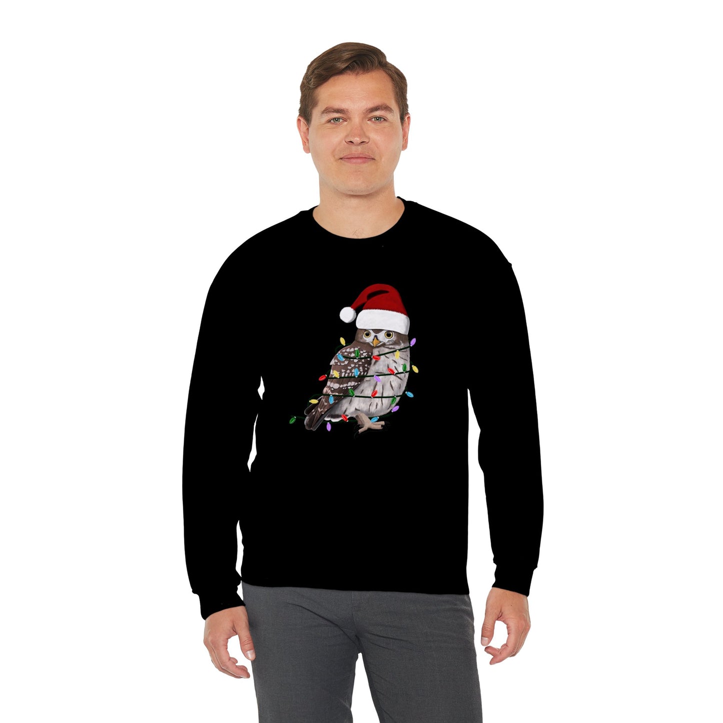 Owl with Fairy Lights Santa Claus Christmas Bird Sweatshirt