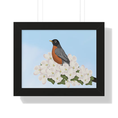 Robin Spring Blossoms Bird Framed Poster