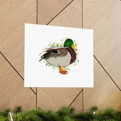 Mallard Bird Artwork Matte Poster