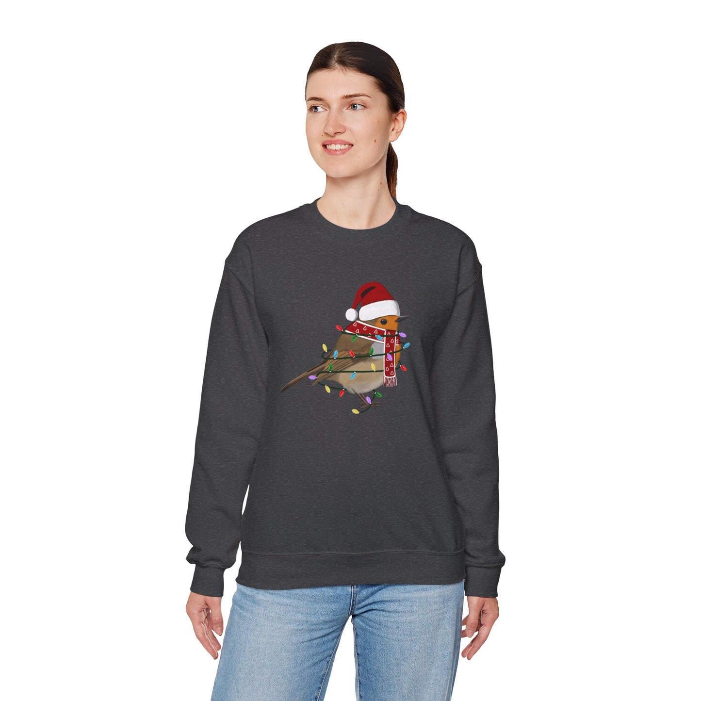 European Robin with Fairy Lights Santa Claus Christmas Bird Sweatshirt