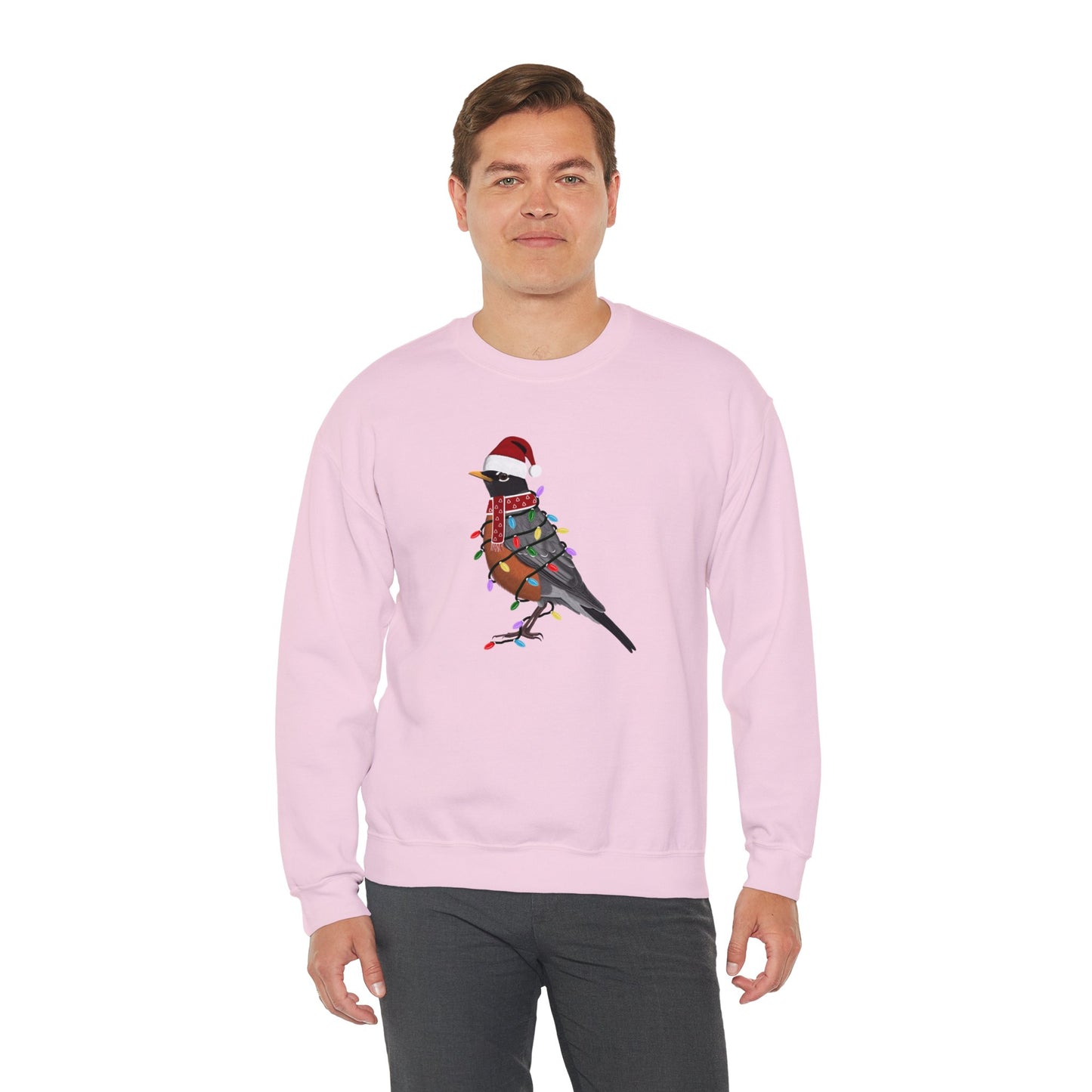 Robin with Fairy Lights Santa Claus Christmas Bird Sweatshirt