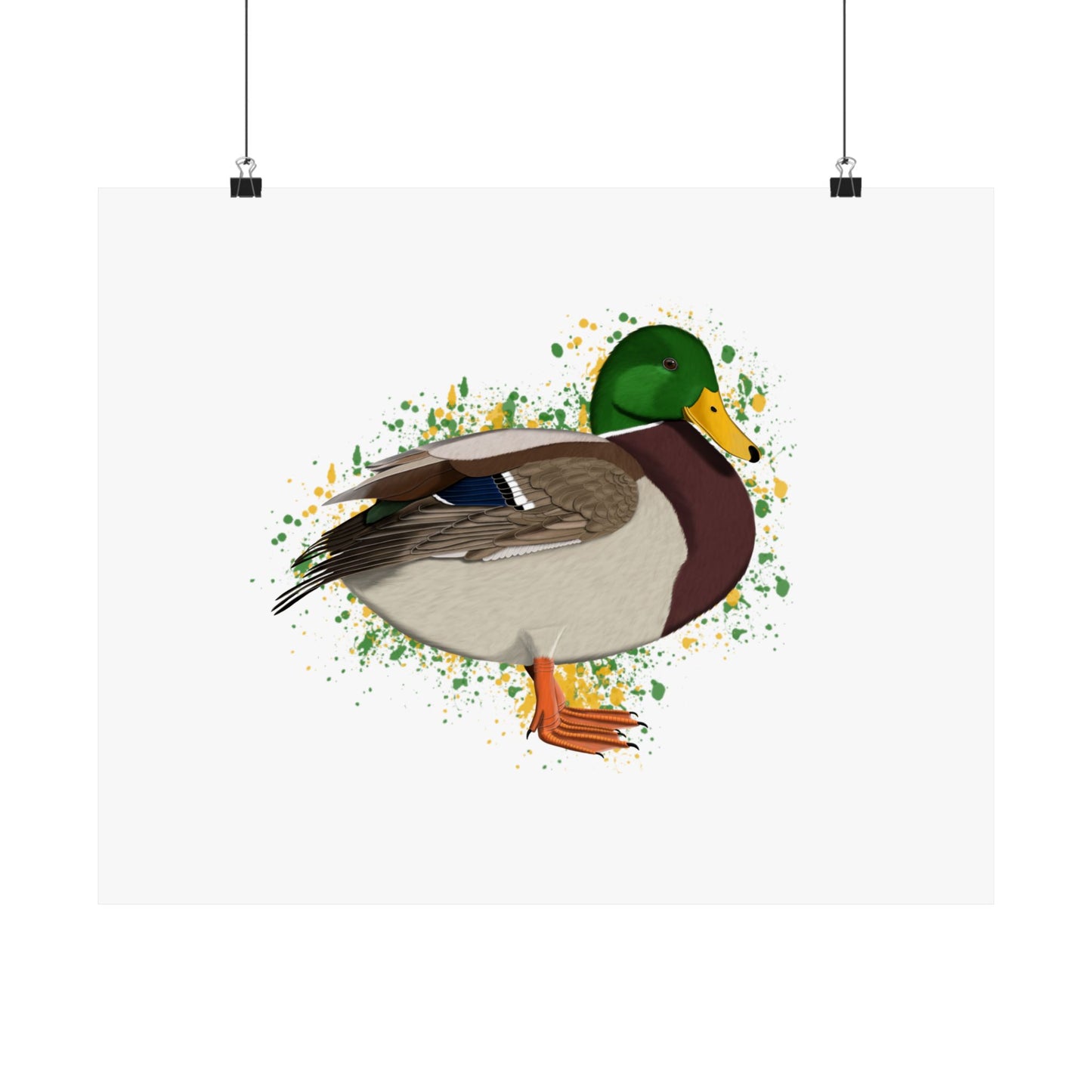 Mallard Bird Artwork Matte Poster