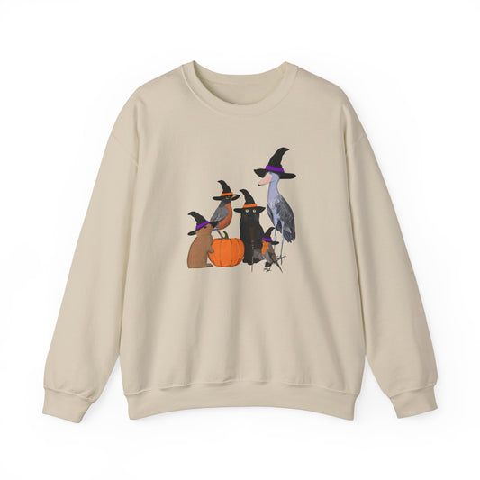 Robin Shoebill Rabbit with Cat Happy Halloween Birds Sweatshirt