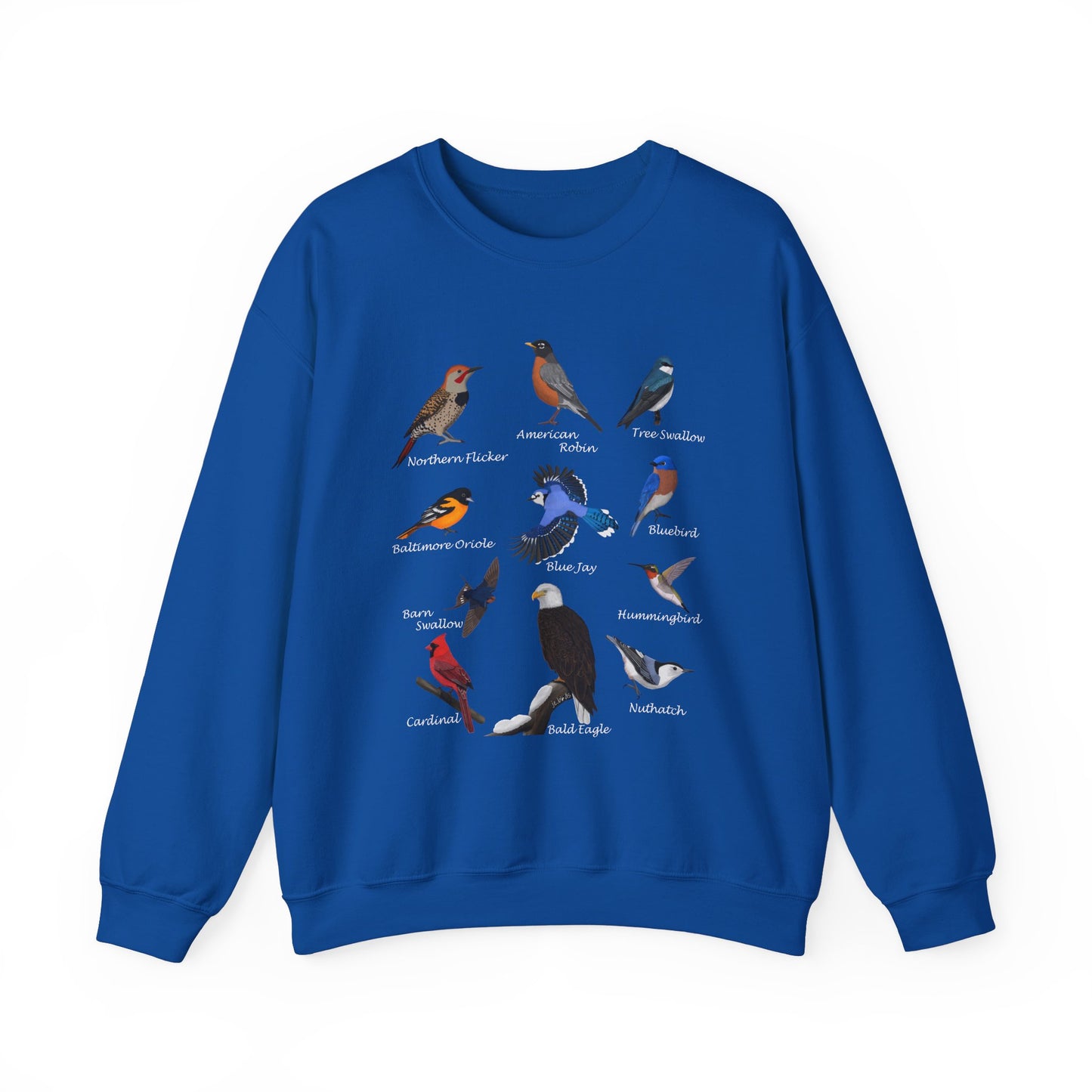 Blue Jay Cardinal Oriole Robin Hummingbird Birding & Birdwatching Bird Sweatshirt