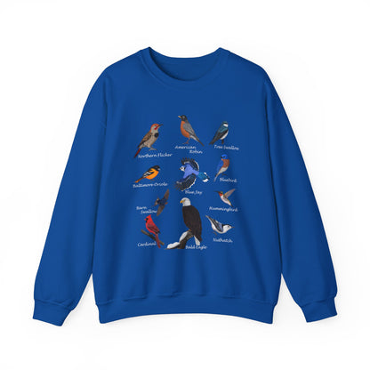 Blue Jay Cardinal Oriole Robin Hummingbird Birding & Birdwatching Bird Sweatshirt