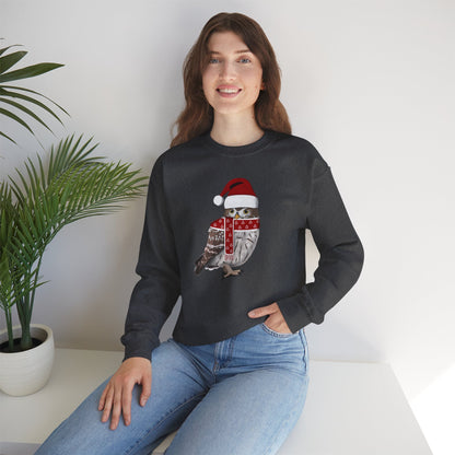 Owl with Christmas Hat Bird Birdwatcher Sweatshirt