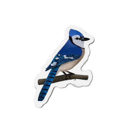 Blue Jay Bird Magnet