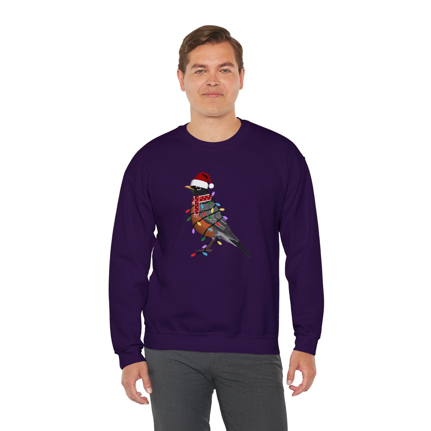 Robin with Fairy Lights Santa Claus Christmas Bird Sweatshirt