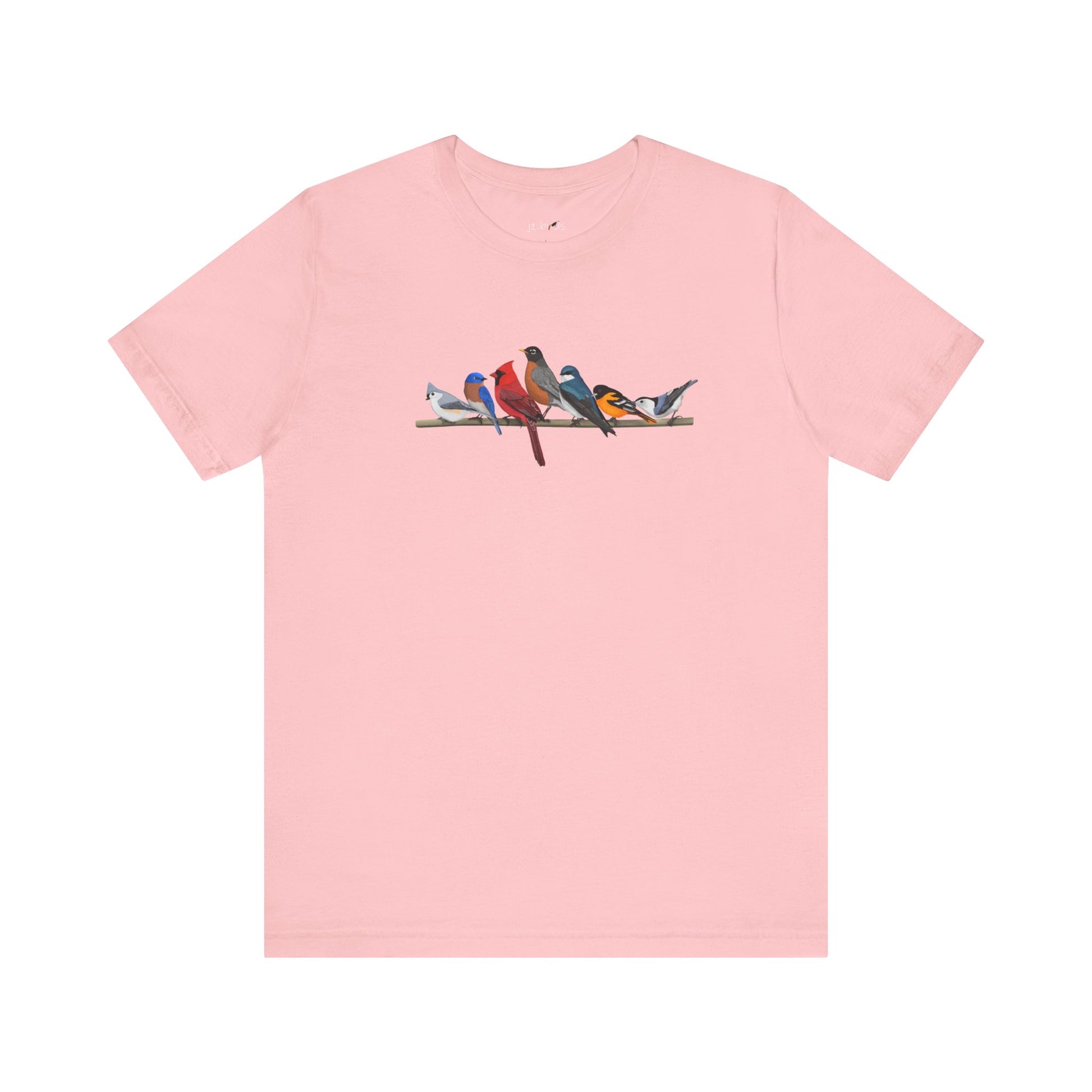 Tree Swallow, Bluebird, Cardinal, Oriole and Robin T-Shirt in Asphalt