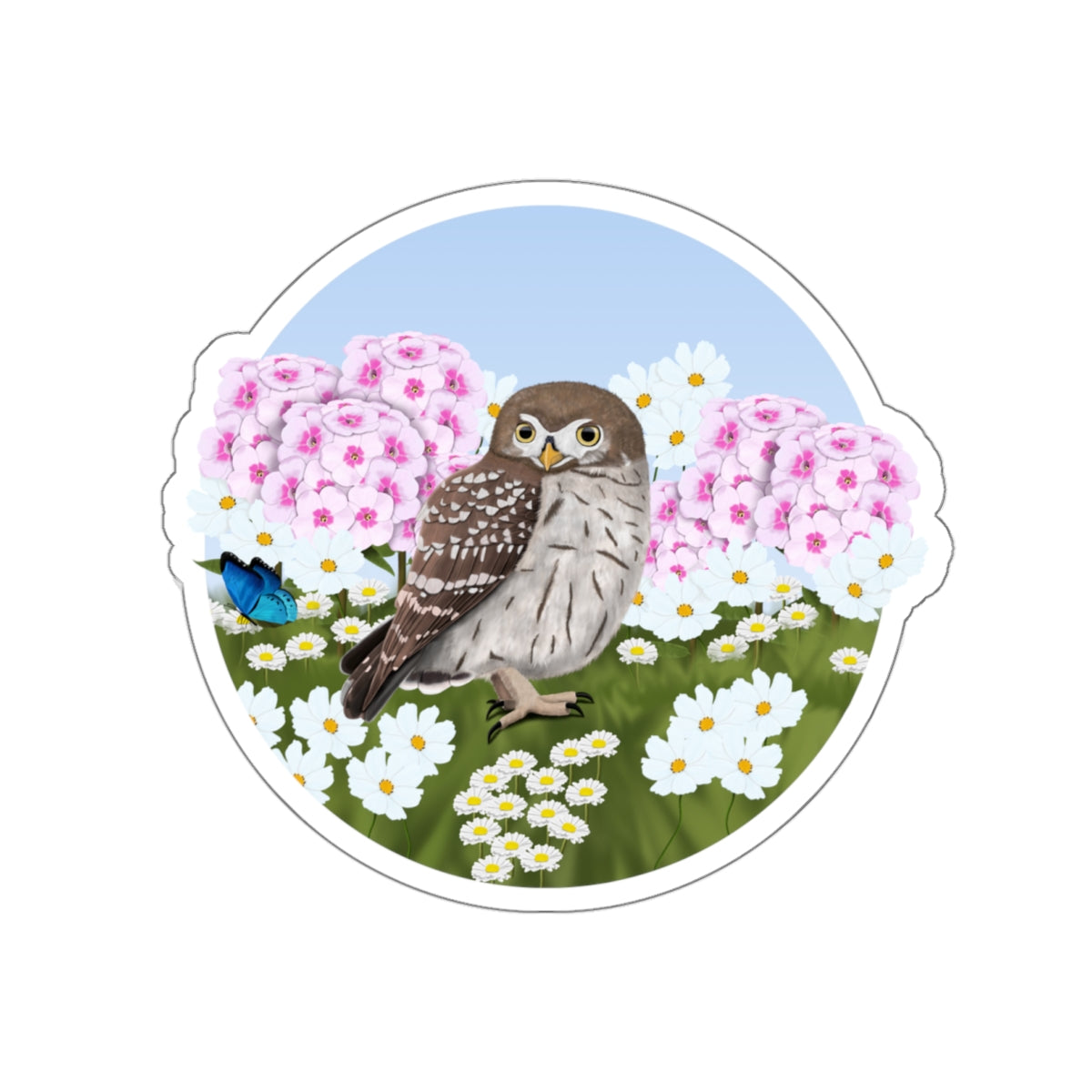 owl bird sticker