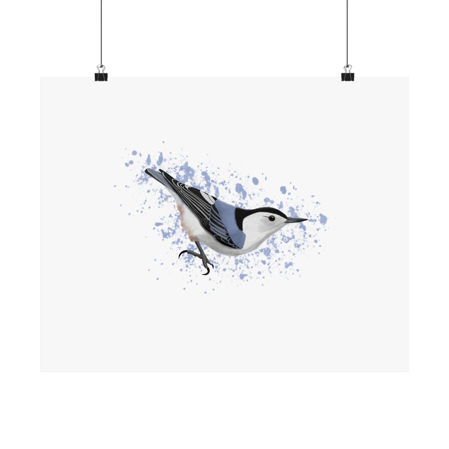 Nuthatch Bird Artwork Matte Poster