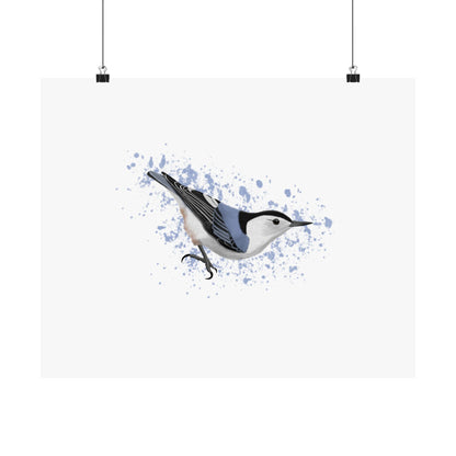 Nuthatch Bird Artwork Matte Poster