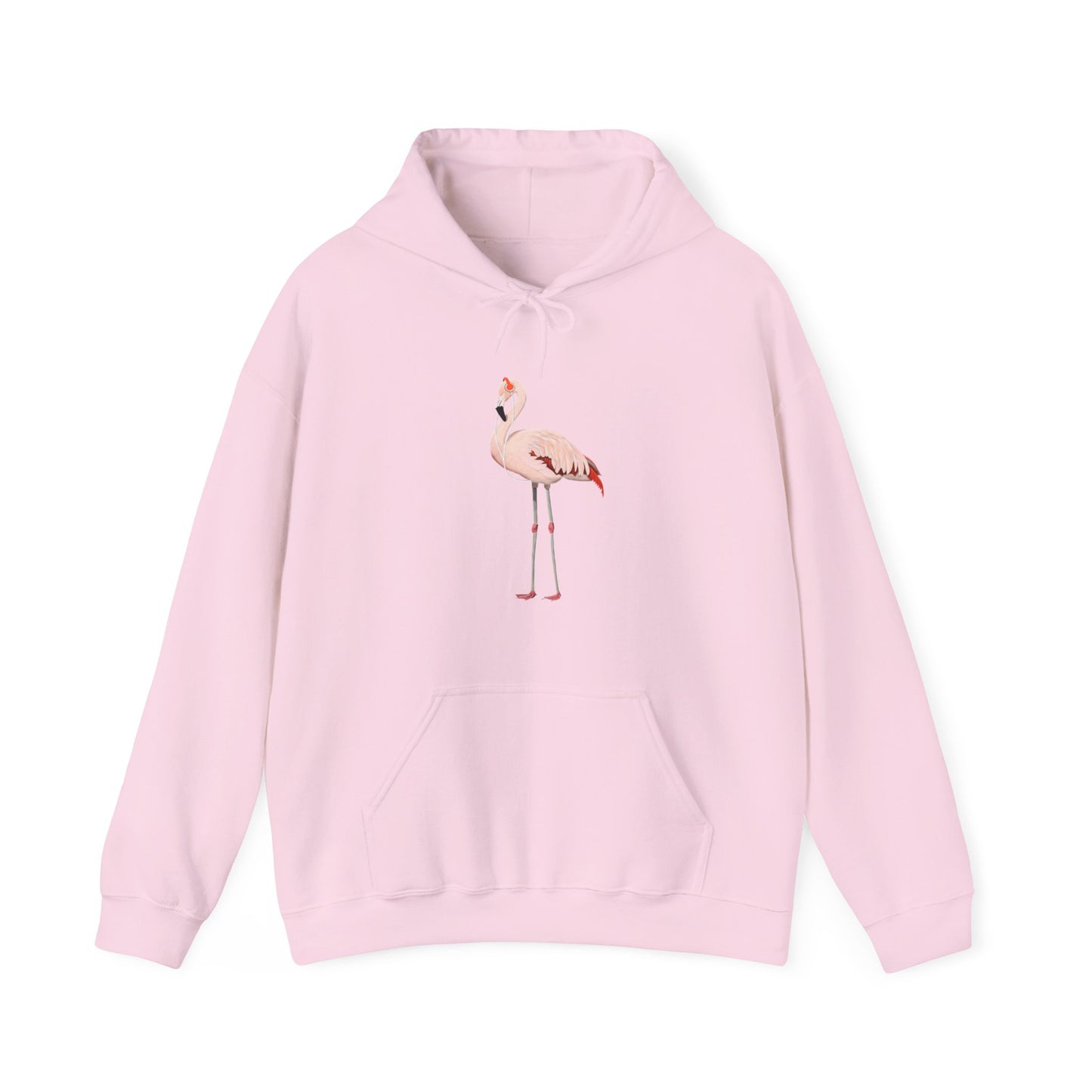 Flamingo with Music Headphones Bird Birdwatching Birdlover Hoodie