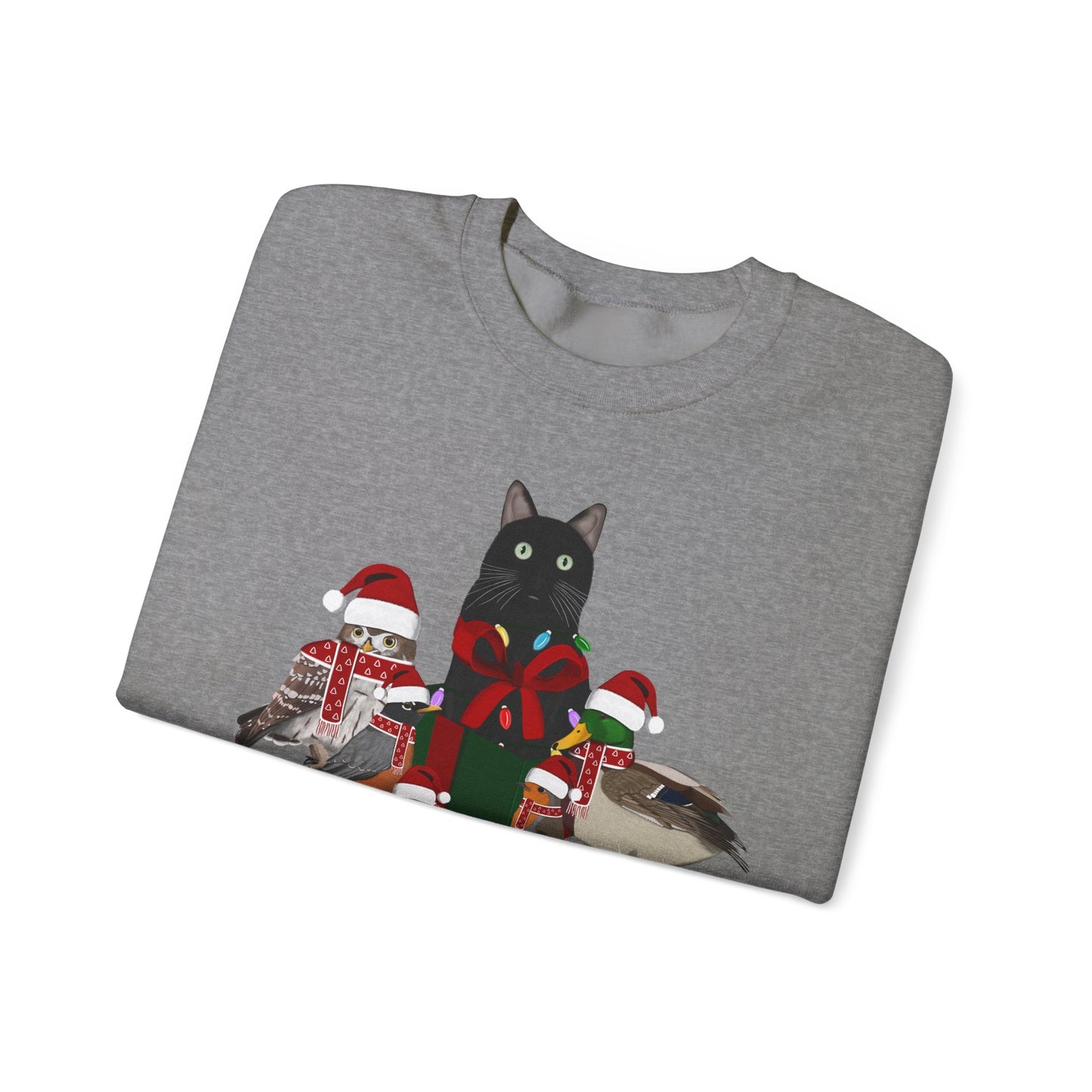 Robin Mallard Oriole Owl with Cat in a Box and Fairy Lights Birdwatcher Christmas Bird Sweatshirt