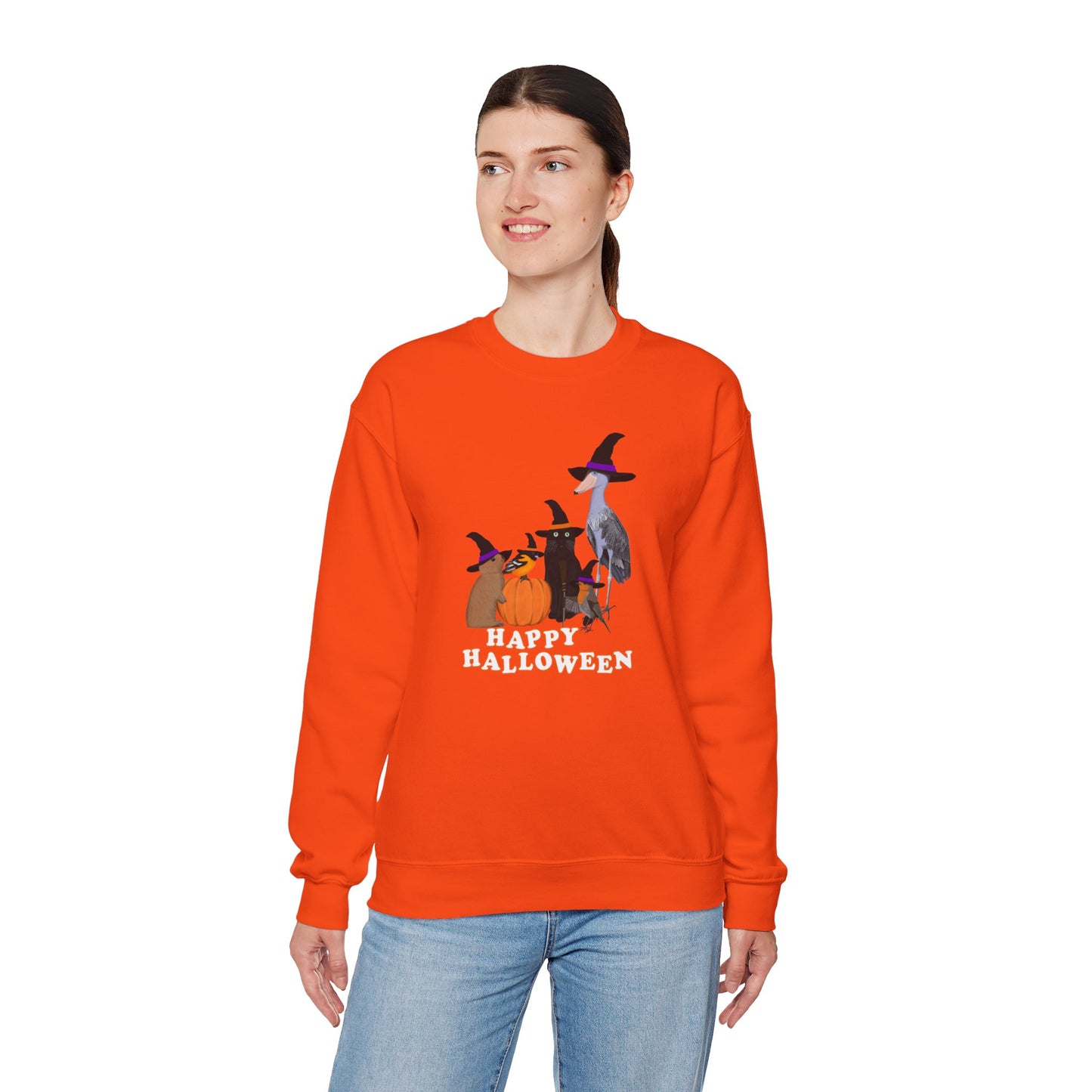 Robin Shoebill Oriole Rabbit with Cat Happy Halloween Birds Sweatshirt