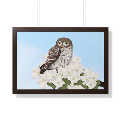 Little Owl Spring Blossoms Bird Framed Poster