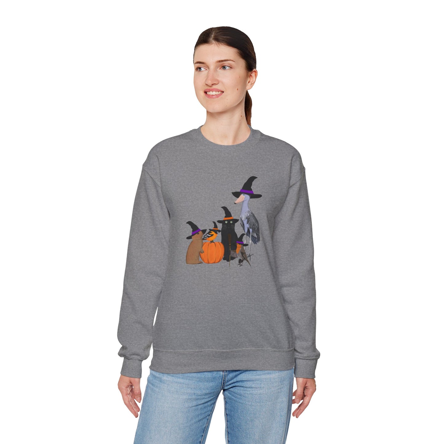 Robin Shoebill Oriole Rabbit with Cat Halloween Birds Sweatshirt