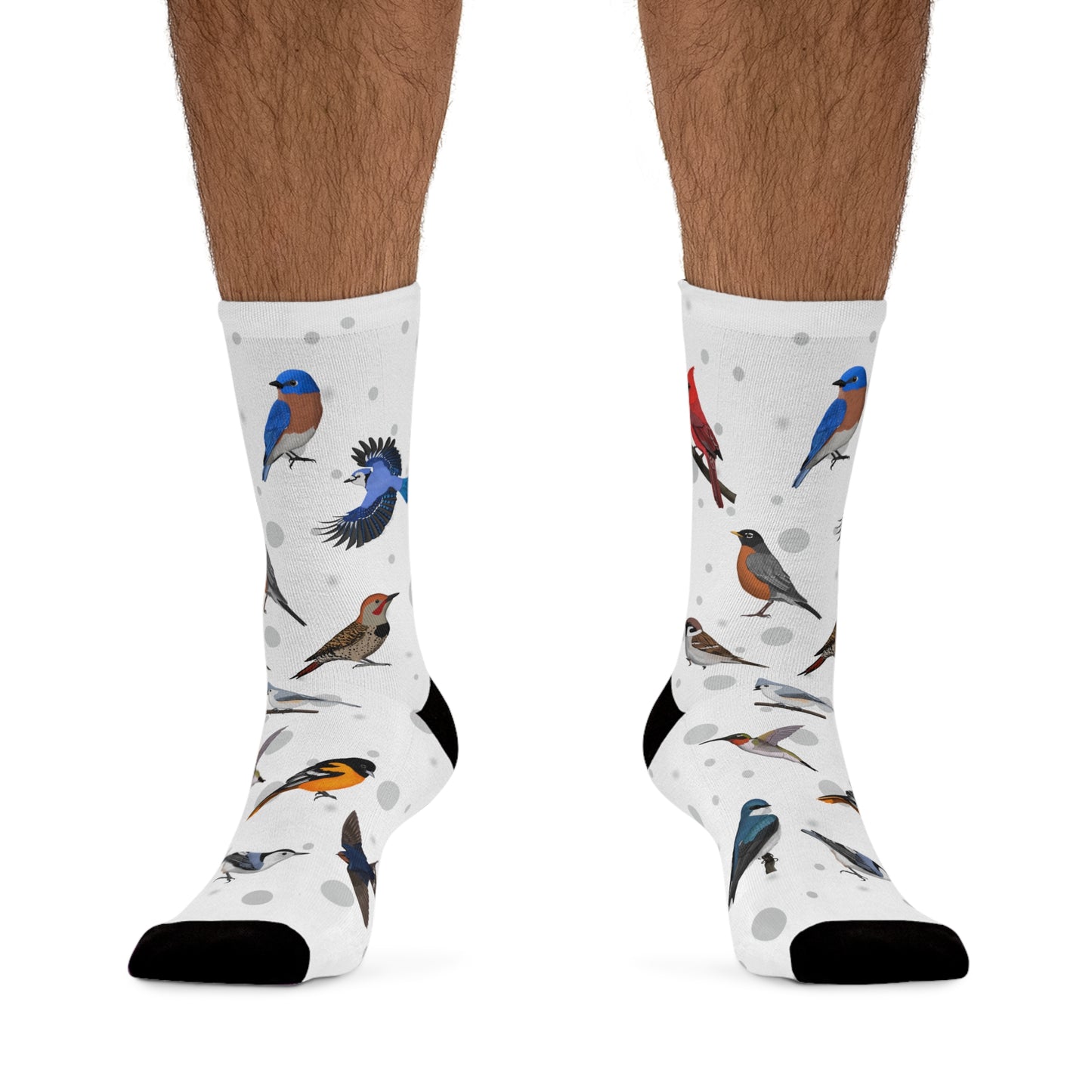 Cardinal Robin Bluebird Bird Socks White for Bird Lovers One Size
