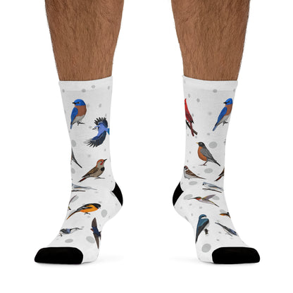 Cardinal Robin Bluebird Bird Socks White for Bird Lovers One Size