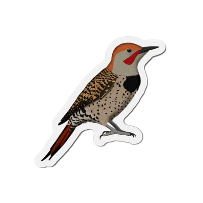 Northern Flicker Bird Magnet