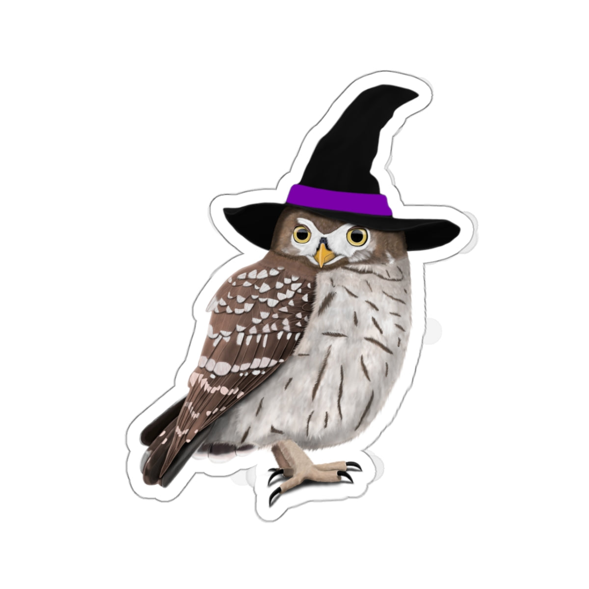 Owl Halloween Witch Hat Bird Sticker