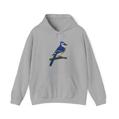 Blue Jay Bird Birdwatching Birder Hoodie