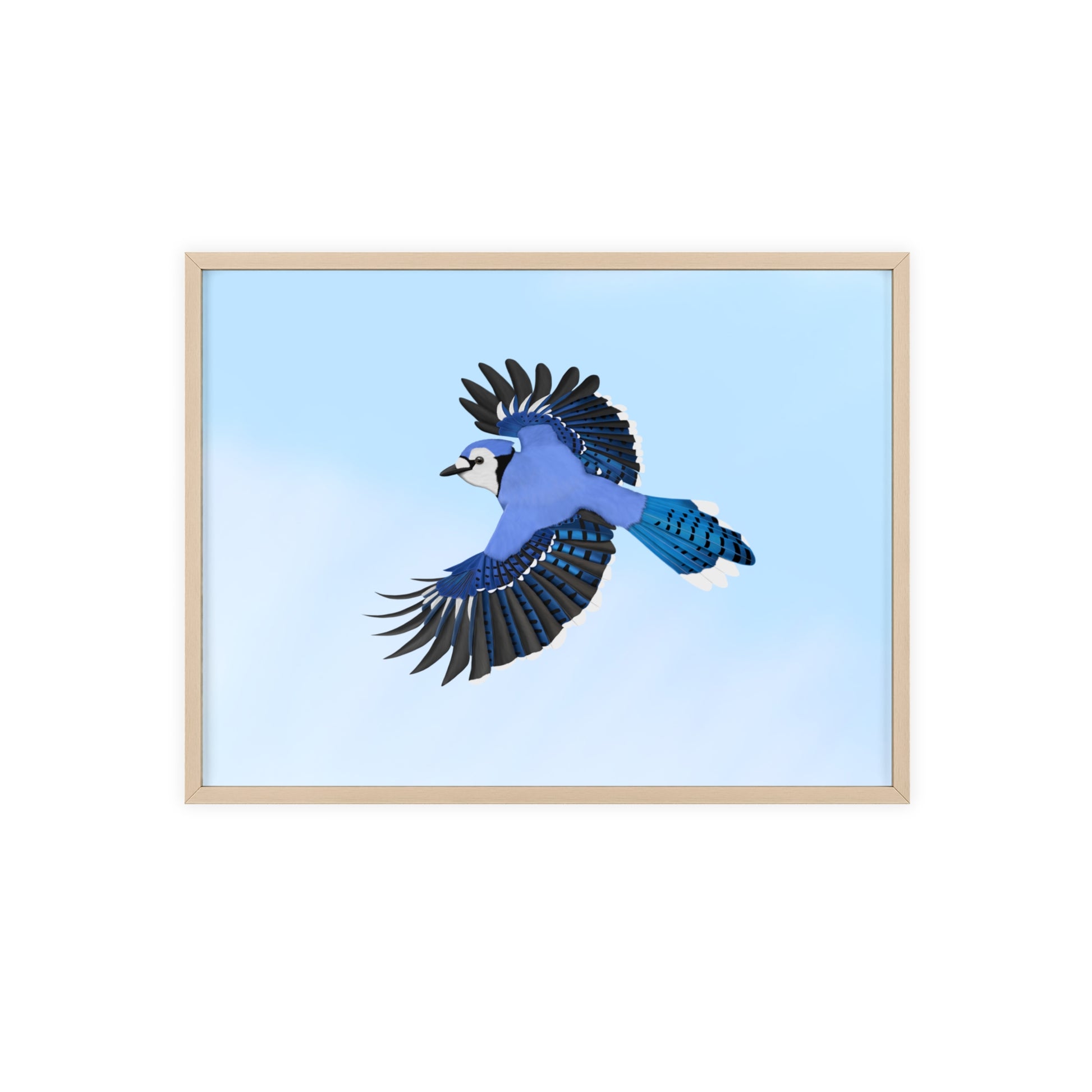 Vogel Poster im mit Holzrahmen – - Blue Jay Gartenvogel Singvogel