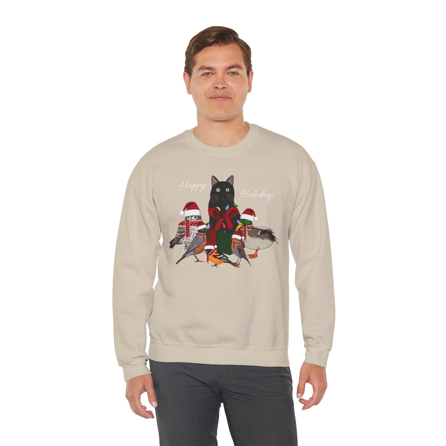 Robin Mallard Oriole Owl with Cat in a Box and Fairy Lights Happy Holidays Christmas Bird Sweatshirt