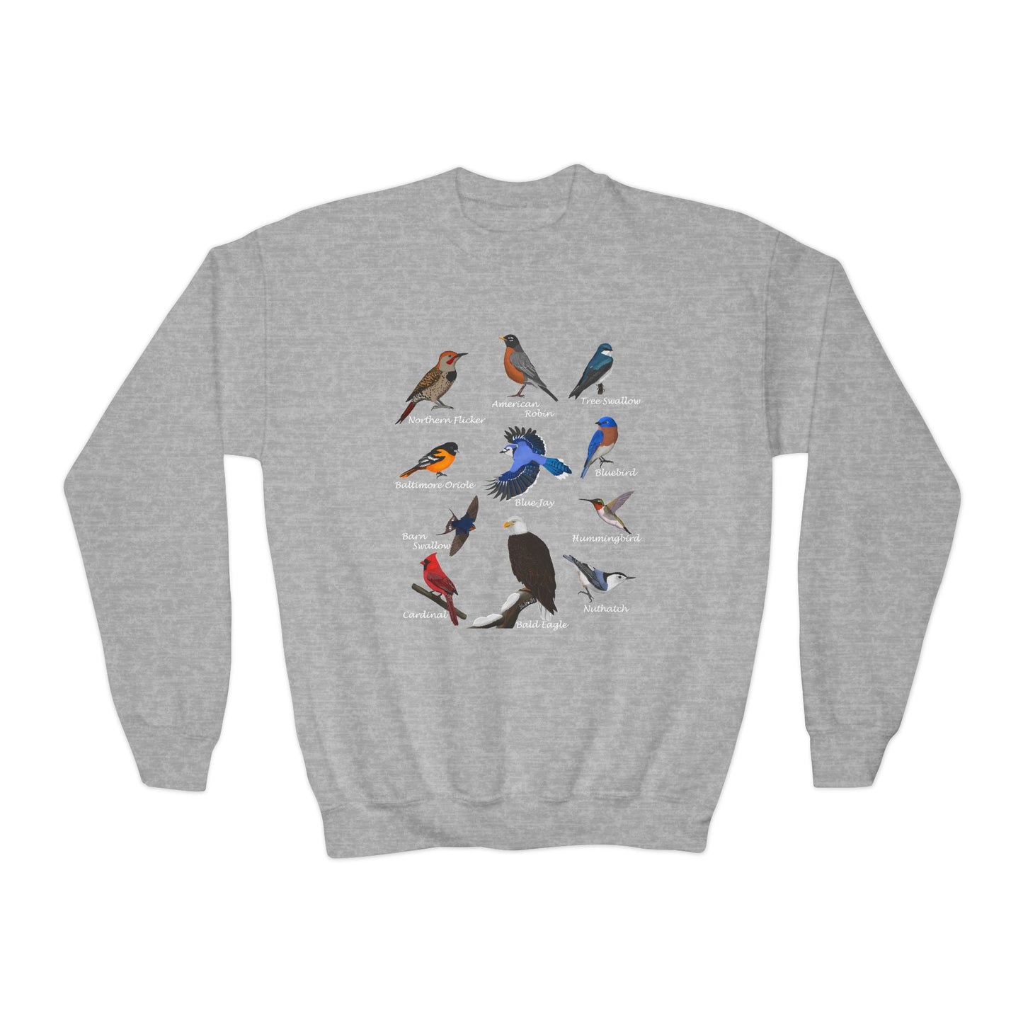 Bald Eagle Blue Jay Bluebird Robin Cardinal Hummingbird Bird Birdwatching Youth Crewneck Sweatshirt