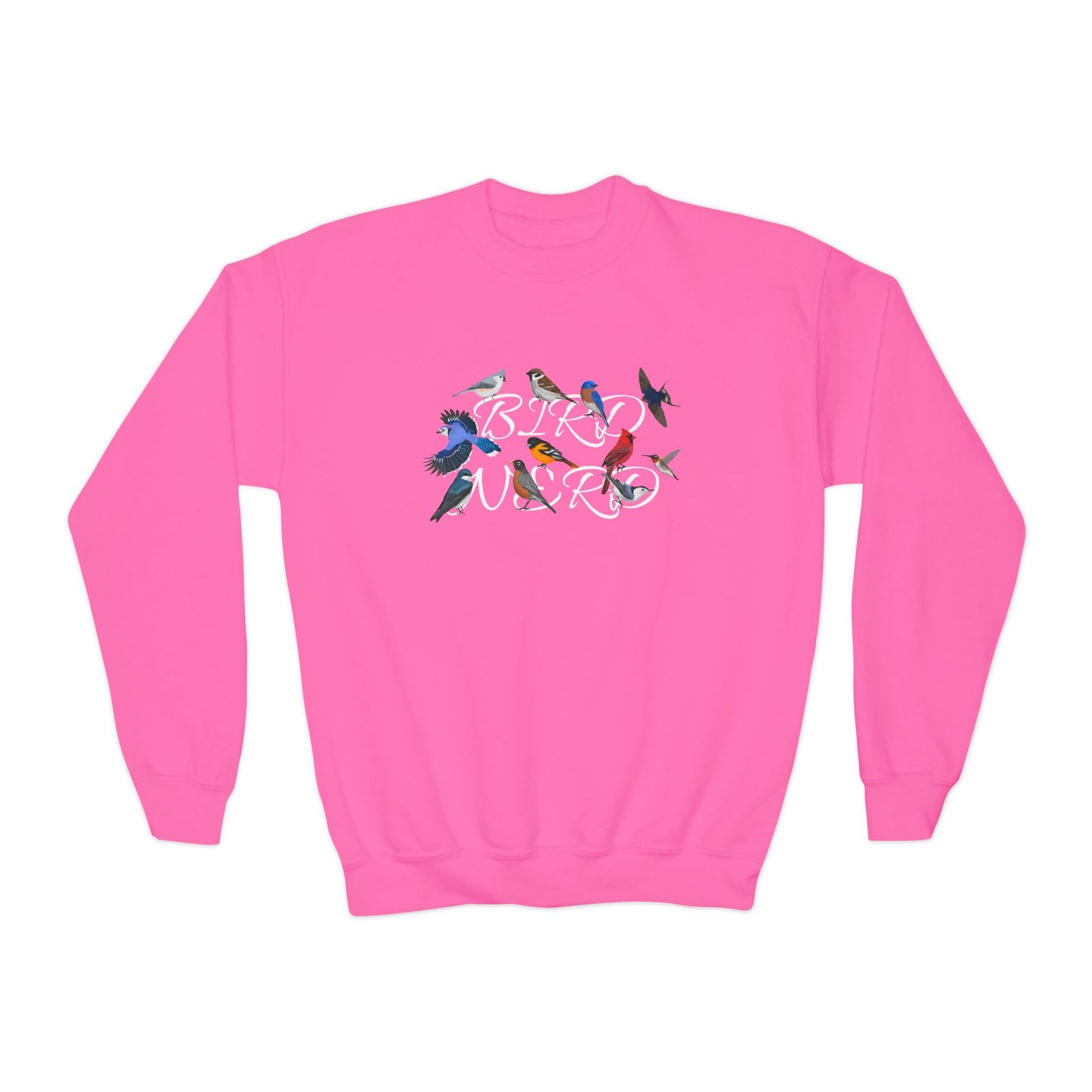 Bird Nerd Blue Jay Oriole Robin Barn Swallow Nuthatch Bird Birdwatching Youth Crewneck Sweatshirt