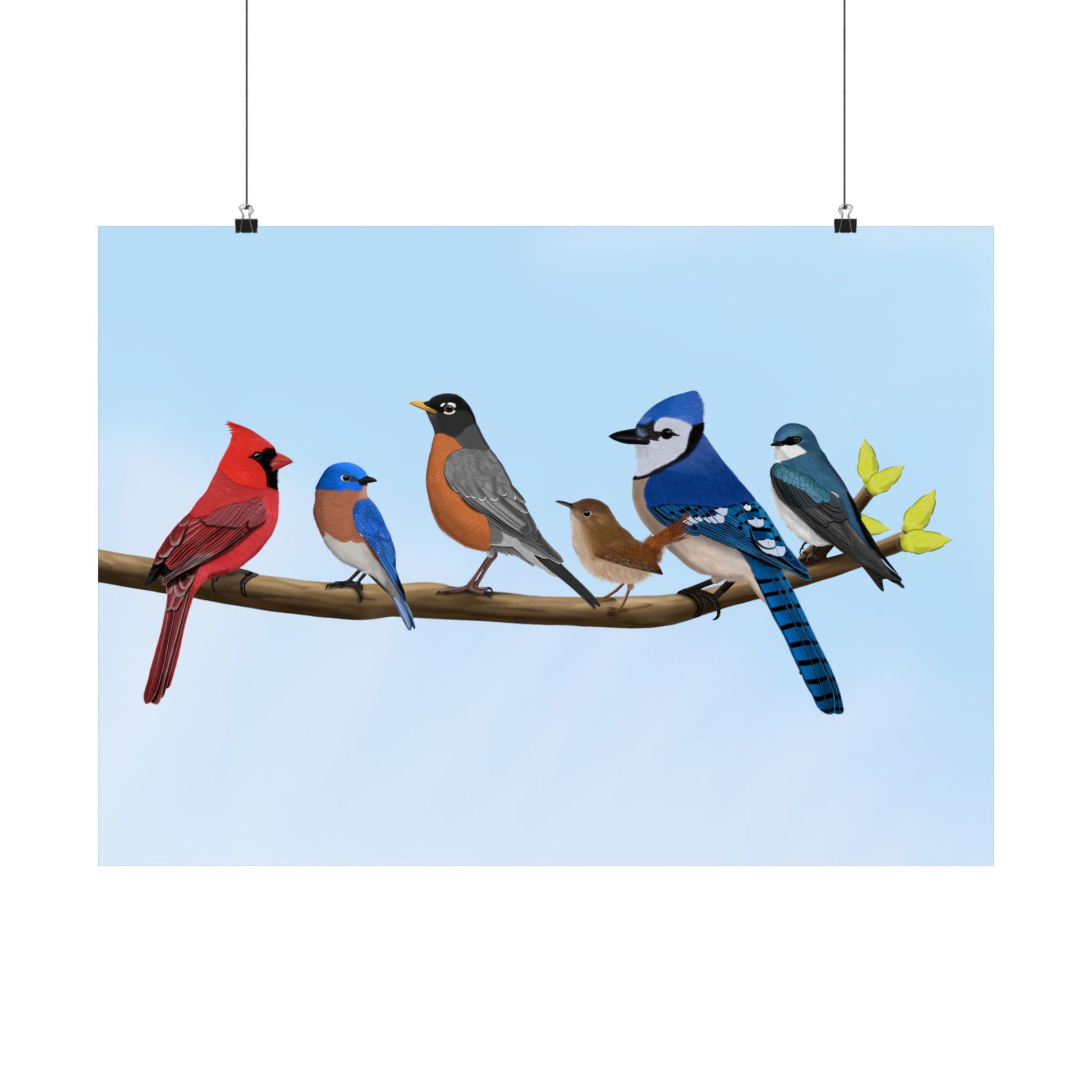 Tree Swallow, Bluebird, Blue Jay, Cardinal, Robin and Wren Poster – bird posters Home & Living style