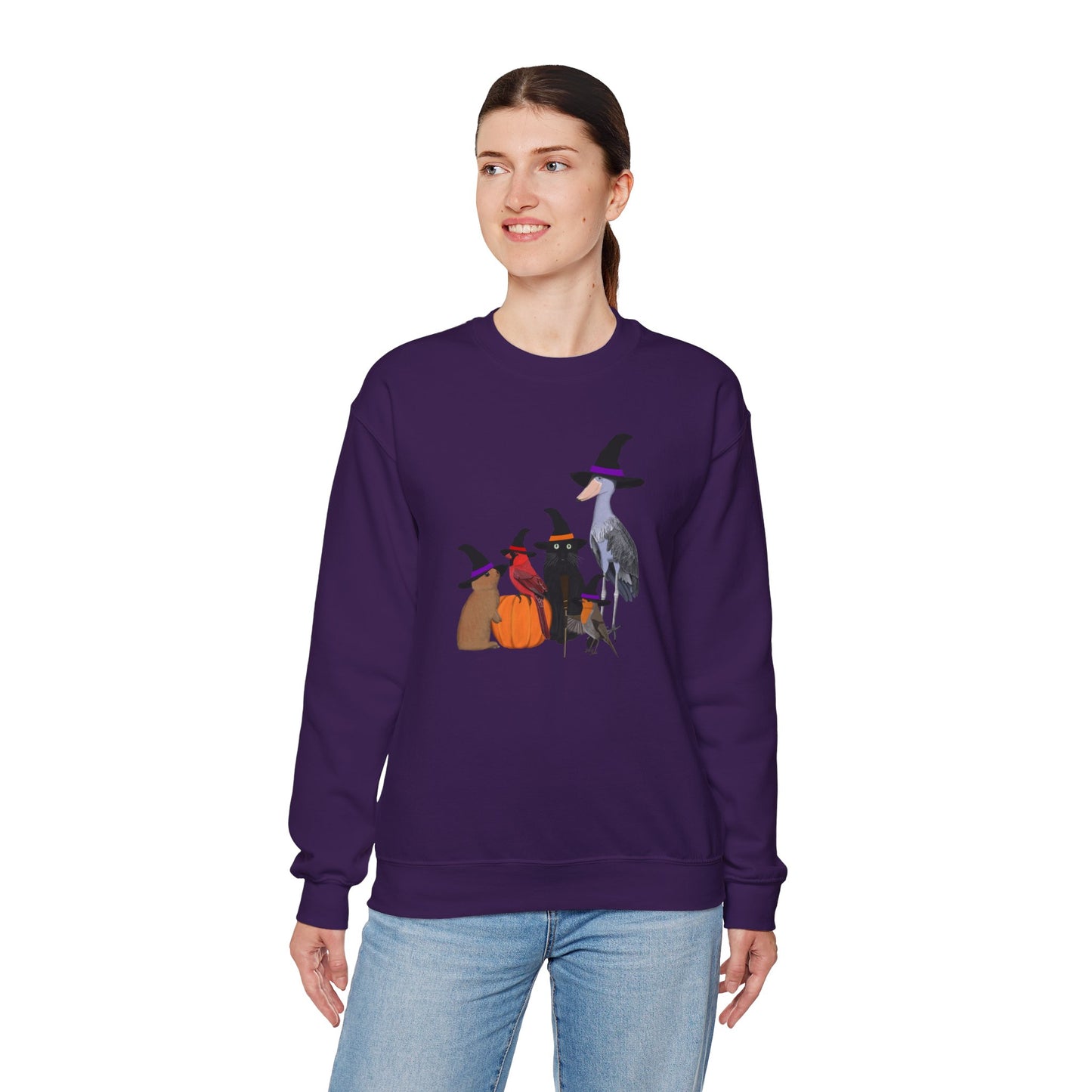 Robin Shoebill Cardinal Rabbit with Cat Happy Halloween Birds Sweatshirt