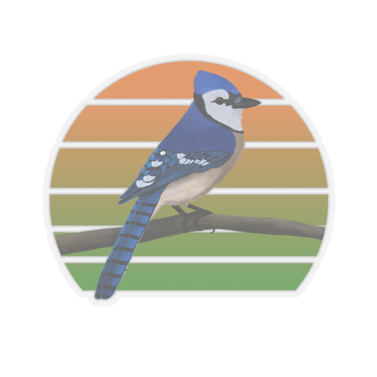 Blue Jay Bird Sticker