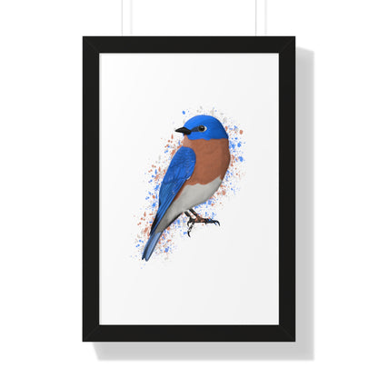 Bluebird Bird Framed Poster