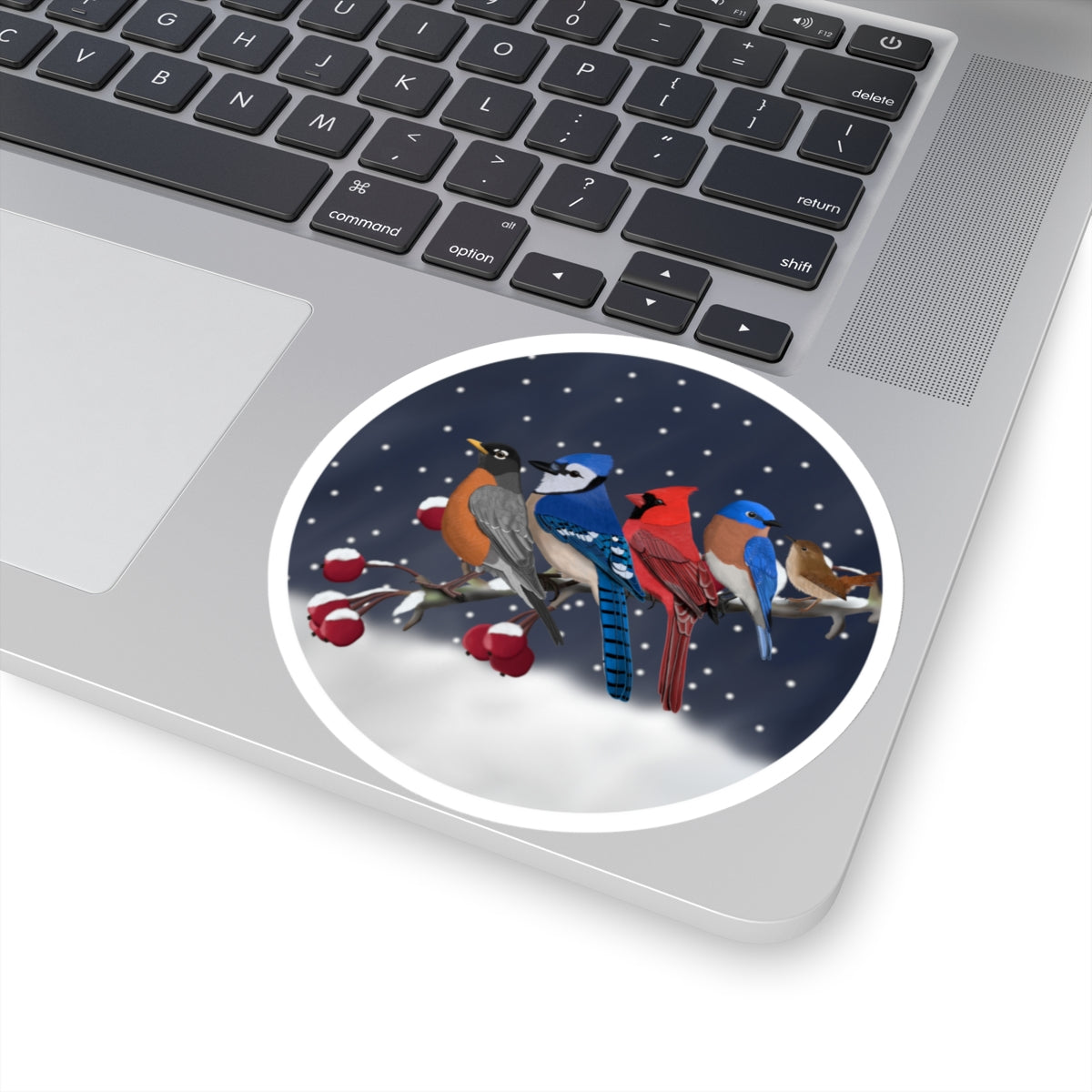 Robin Blue Jay Cardinal Bluebird Wren on a Winter Branch Christmas Bird Sticker