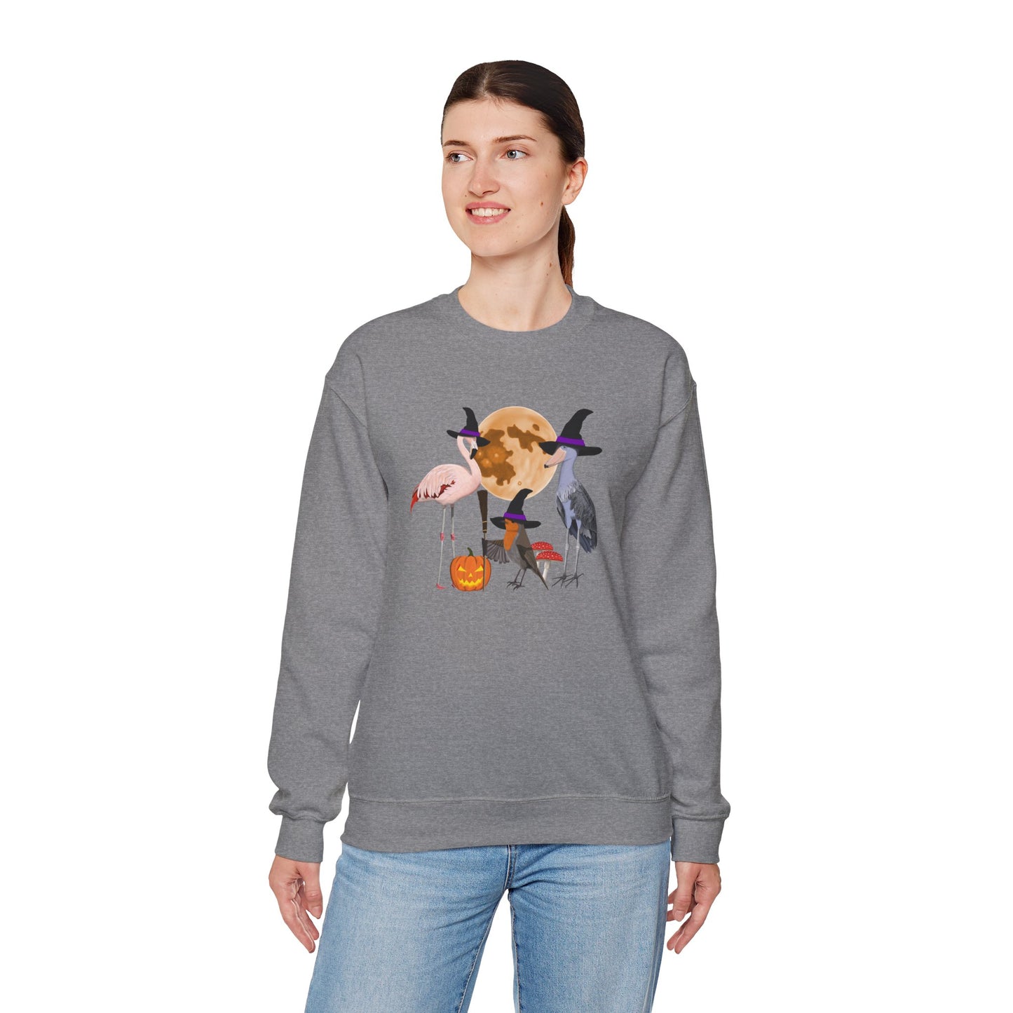 Robin Flamingo Shoebill Halloween Birds Witch Birdwatcher Sweatshirt