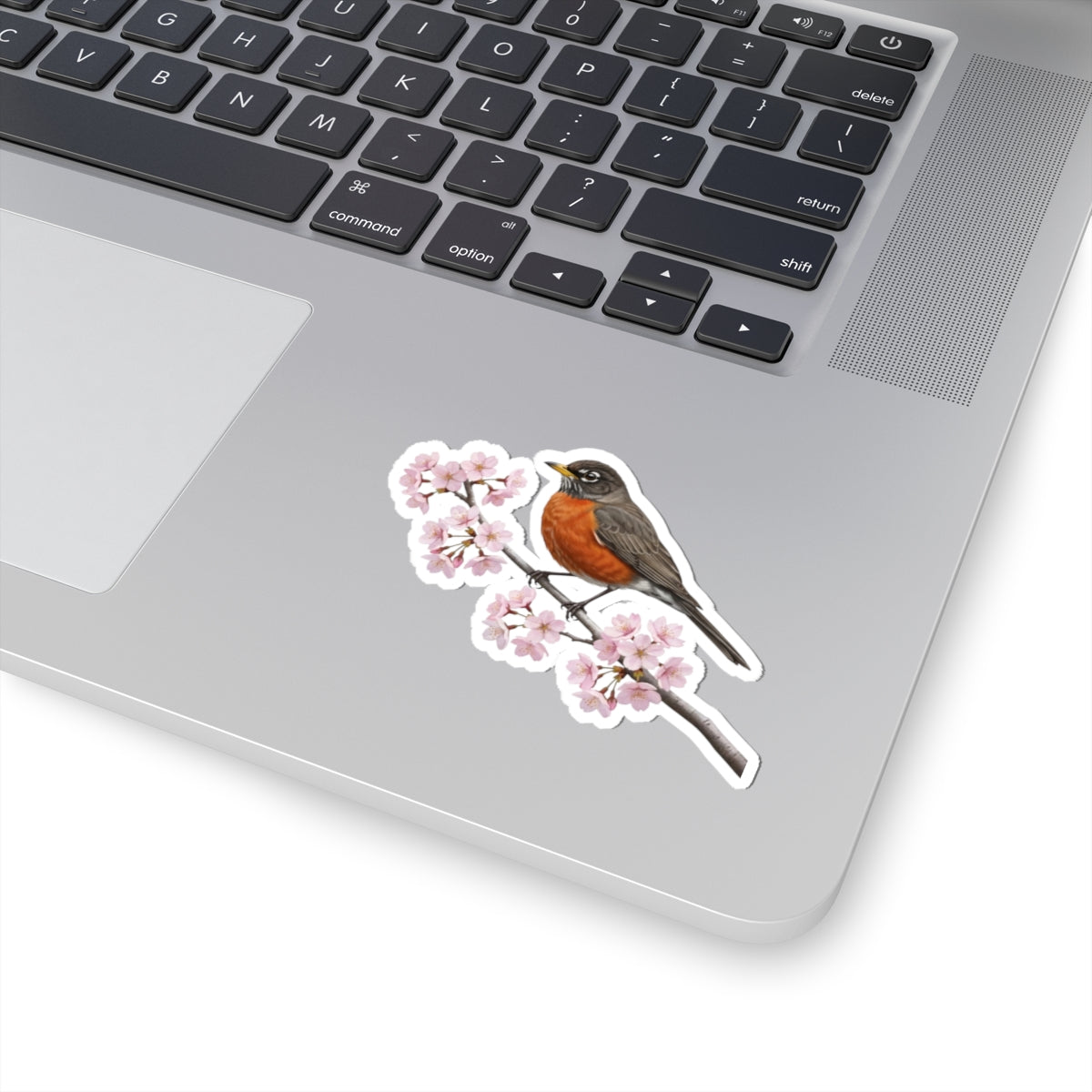 American Robin Cherry Blossom Sticker | Glossy Floral Bird Decal | Spring Laptop Sticker
