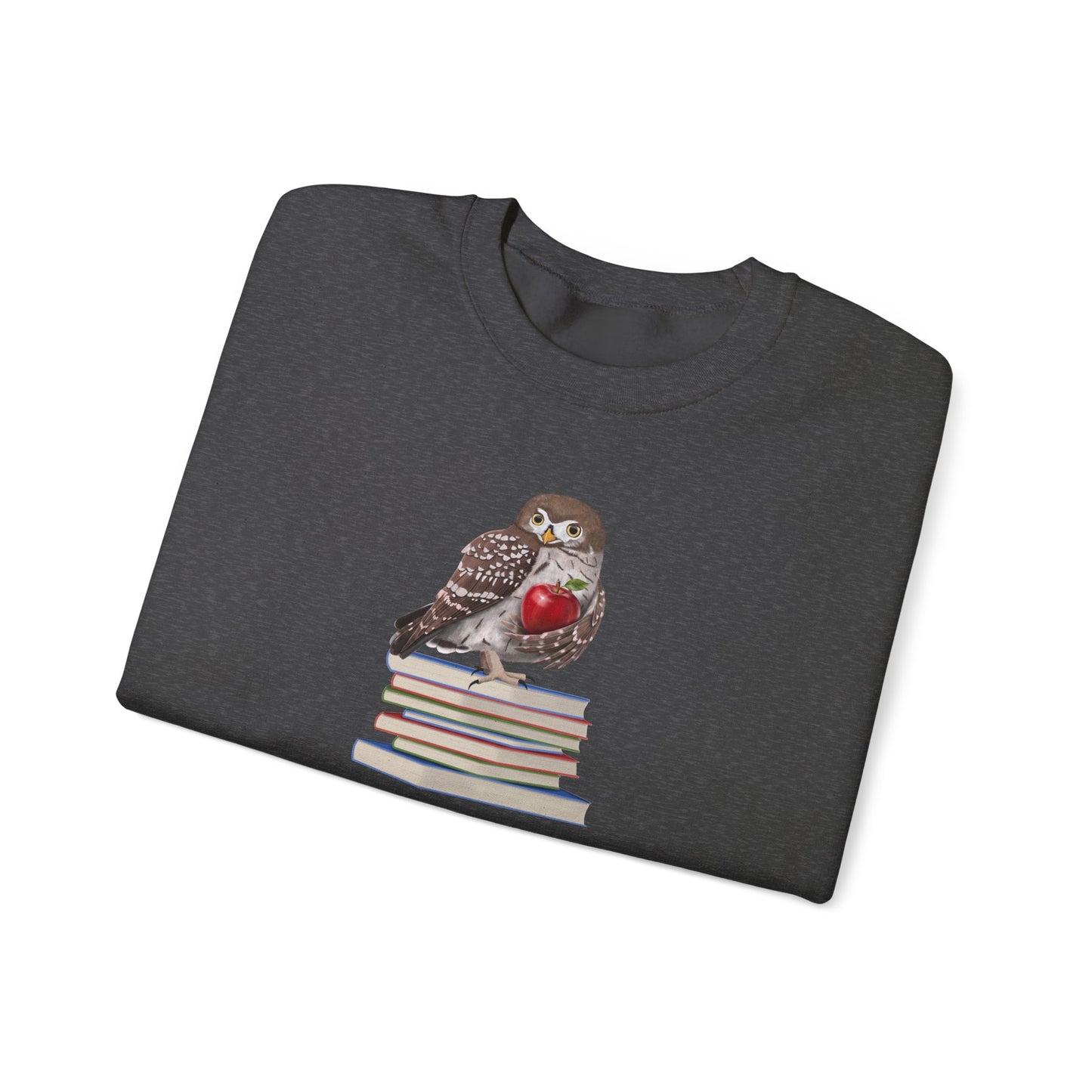 Cute Owl on Books Teacher Sweatshirt – Cozy Back to School Aesthetic