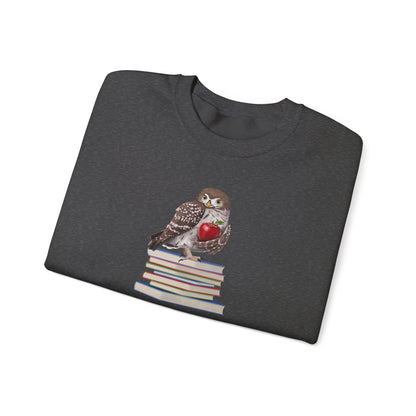 Cute Owl on Books Teacher Sweatshirt – Cozy Back to School Aesthetic