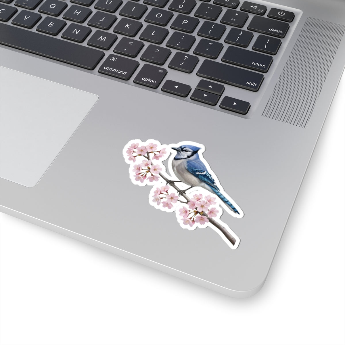 Blue Jay Cherry Blossom Sticker | Glossy Floral Bird Decal | Spring Laptop Sticker