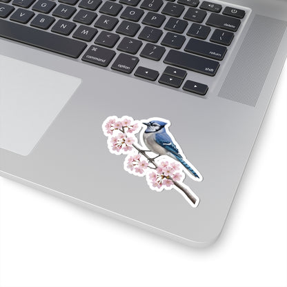 Blue Jay Cherry Blossom Sticker | Glossy Floral Bird Decal | Spring Laptop Sticker
