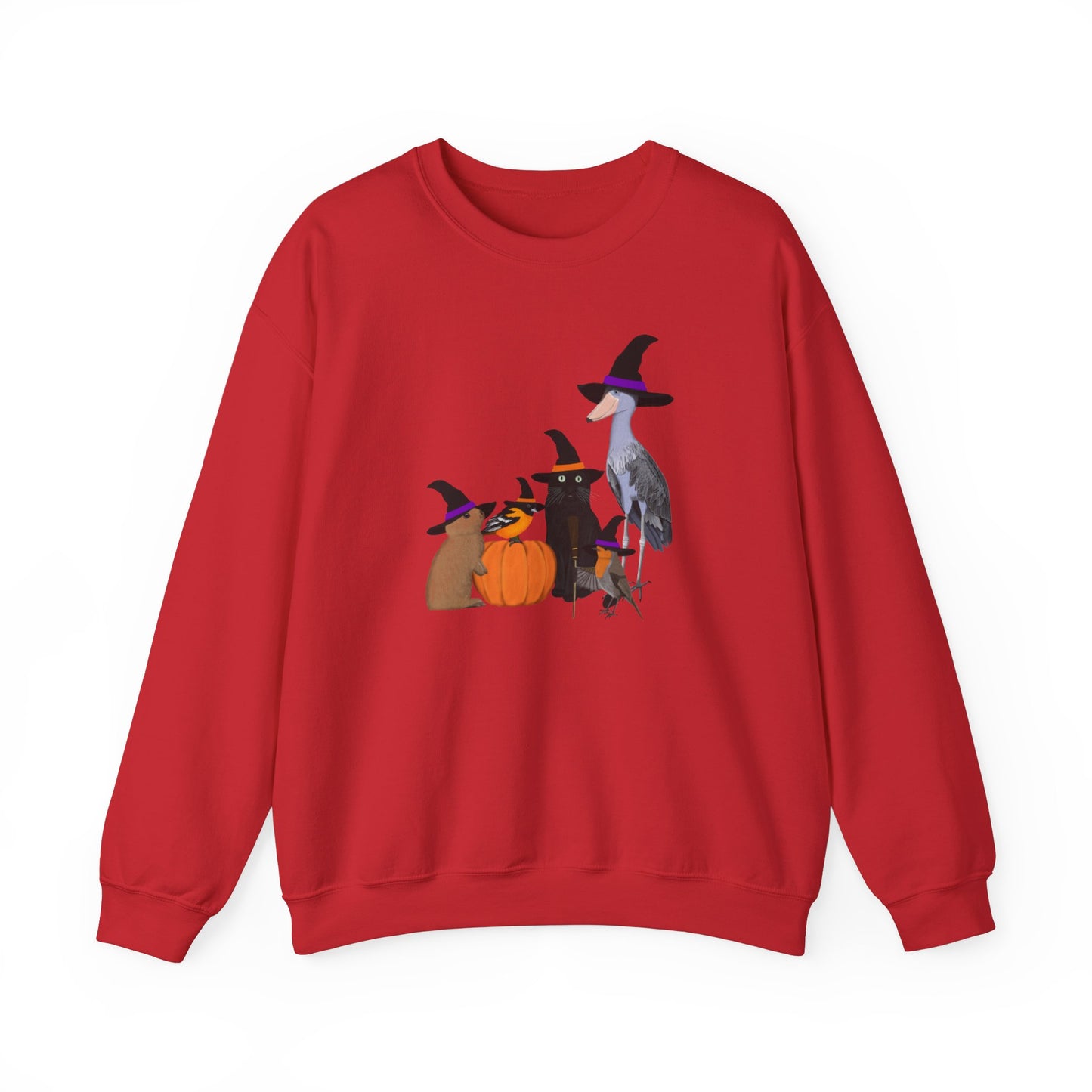 Robin Shoebill Oriole Rabbit with Cat Halloween Birds Sweatshirt