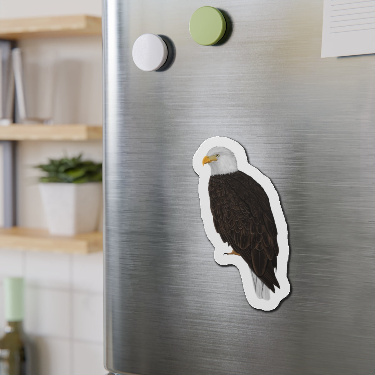 Bald Eagle Bird Magnet