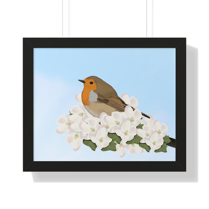 Robin Spring Blossoms Bird Framed Poster