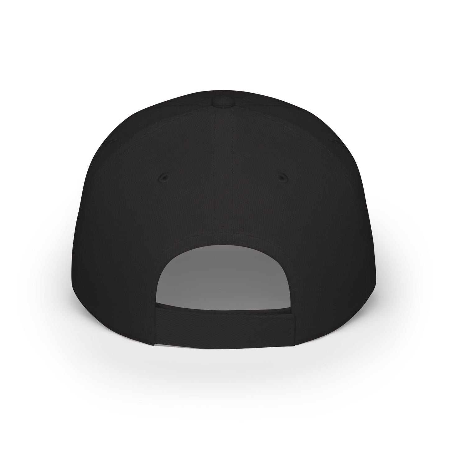 Nature's Red, White & Blue Baseball Cap | Blue Jay Cardinal USA 250 Edition | jz.birds