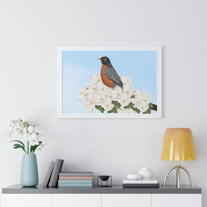 Robin Spring Blossoms Bird Framed Poster