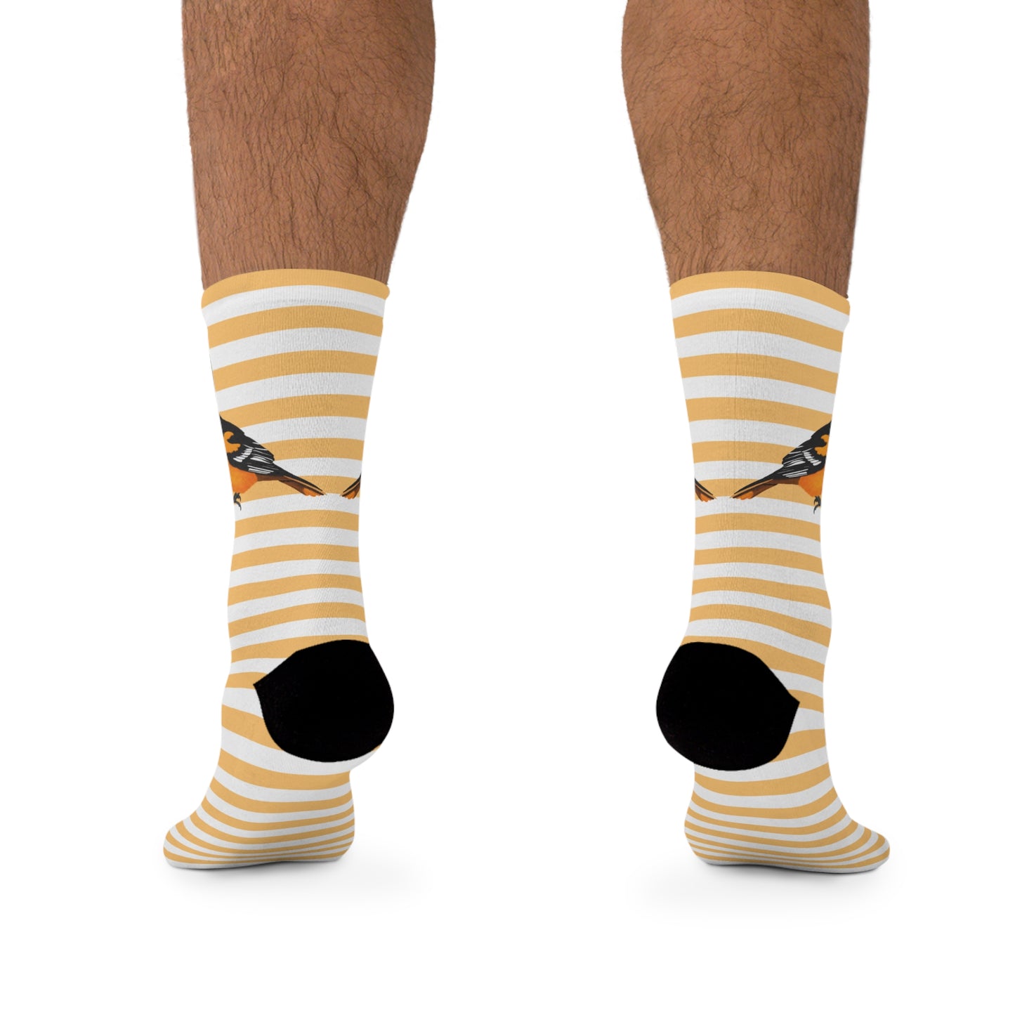 Baltimore Oriole Stripes Blue White Birding & Birdwatching Bird Socks