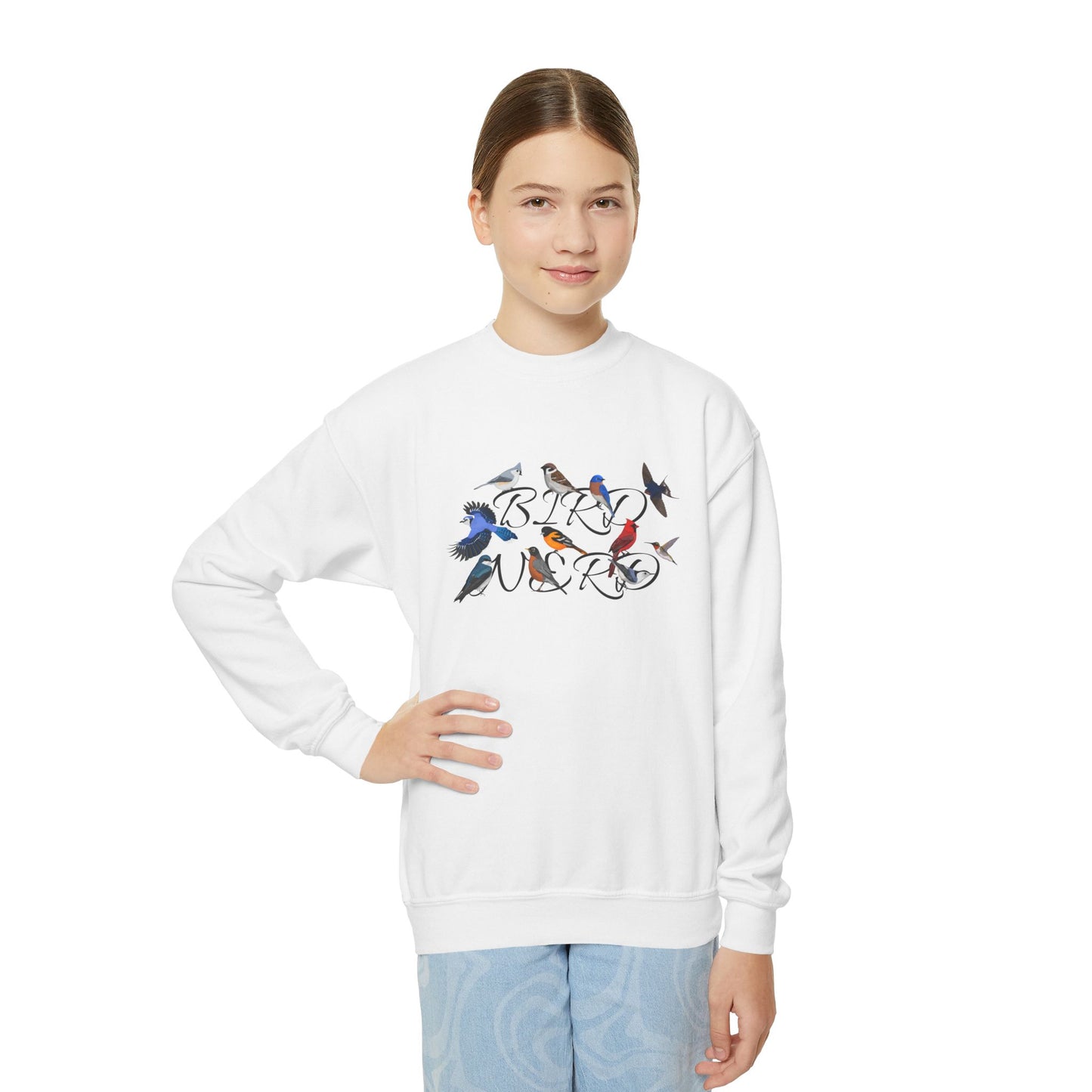 Bird Nerd Blue Jay Oriole Robin Barn Swallow Nuthatch Bird Birdwatching Youth Crewneck Sweatshirt