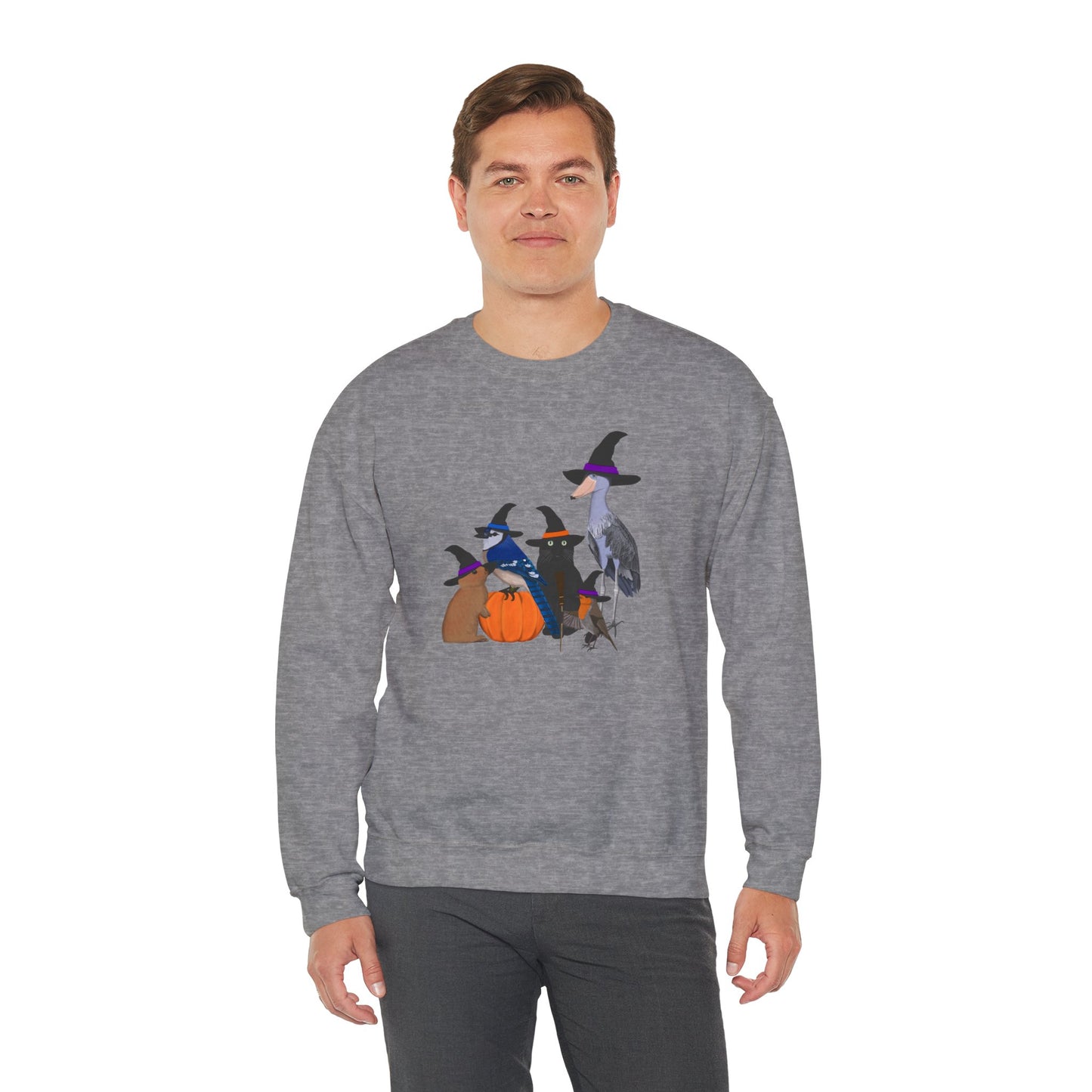 Robin Shoebill Blue Jay Rabbit with Cat Happy Halloween Birds Sweatshirt