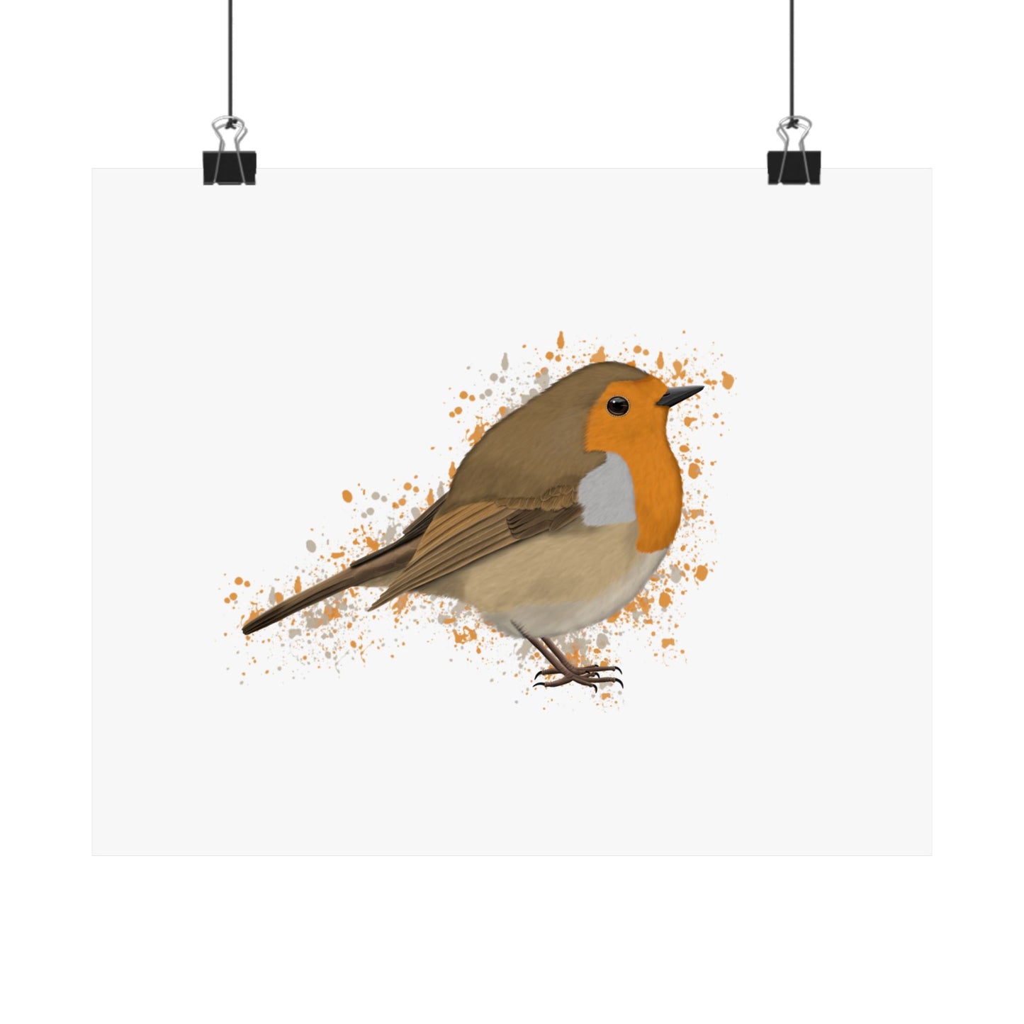 European Robin Bird Artwork Matte Poster